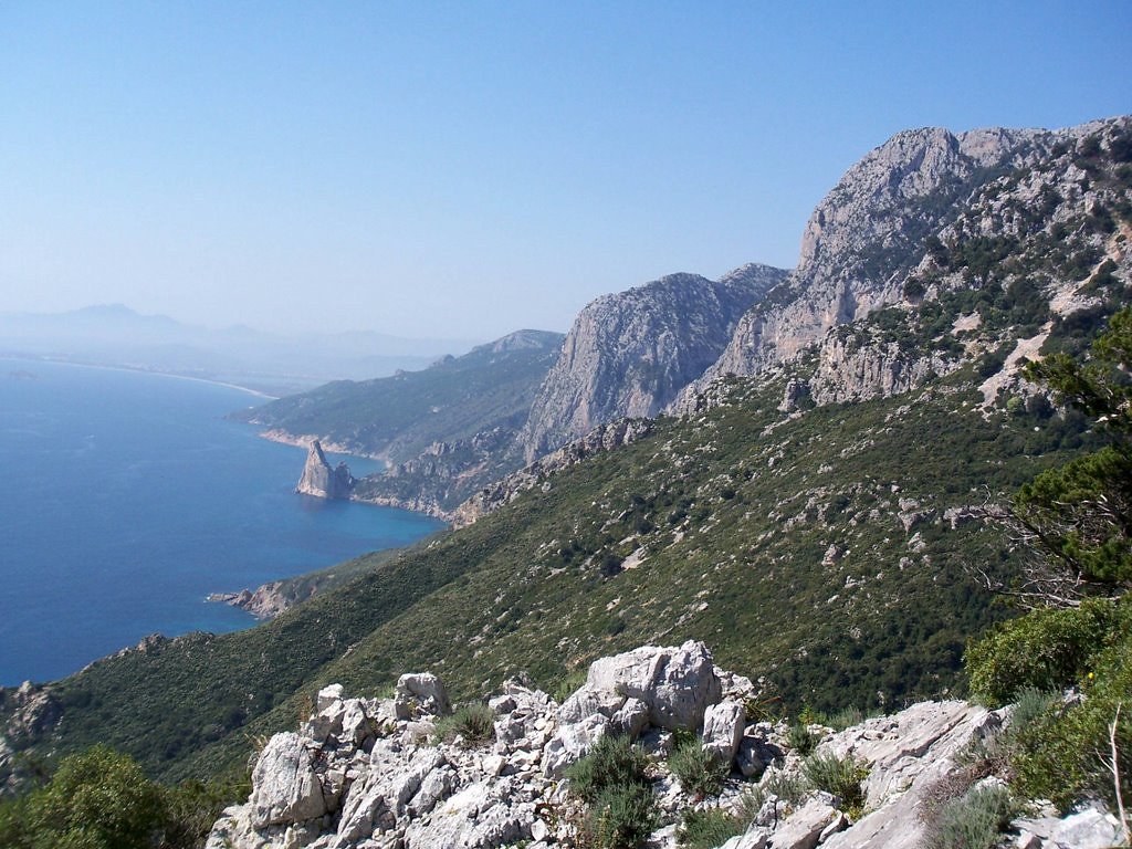 Selvaggio Blu